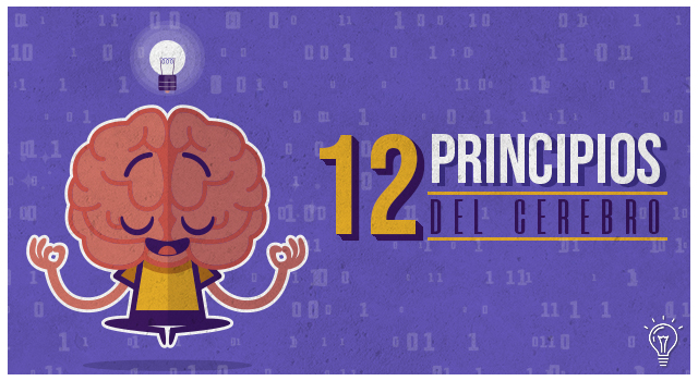 12 Principios del cerebro