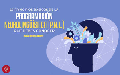 10 PRINCIPIOS BÁSICOS DE LAPROGRAMACIÓN NEUROLINGÜÍSTICA (P.N.L.)
